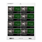 Business Foto - Dog Agog (Vorne)