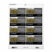 Business Foto - Goldsee (Vorne)