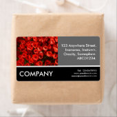 Business Foto - Rote Tulips (Insitu)