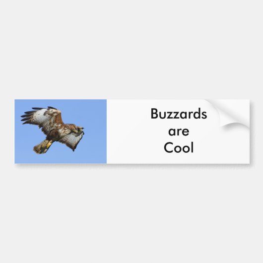 Bussard 1 autoaufkleber (Vorne)