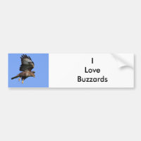 Bussard 3