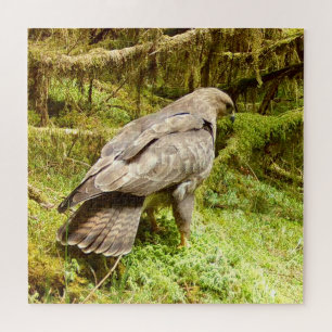 Bussard auf der Suche nach Maden Puzzle