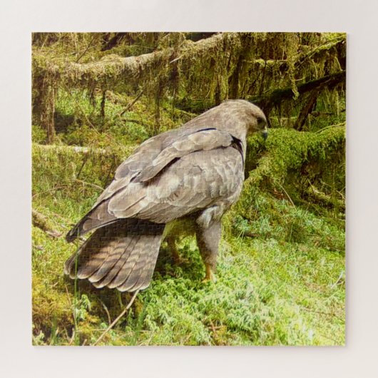Bussard auf der Suche nach Maden Puzzle (Horizontal)