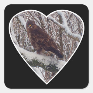Bussard auf Schneeast Wildtier Herz Natur Kunst Quadratischer Aufkleber