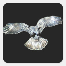 Bussard-Flügel und Schwanz-Landung Quadratischer Aufkleber