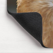 Bussard Mousepad (Ecke)