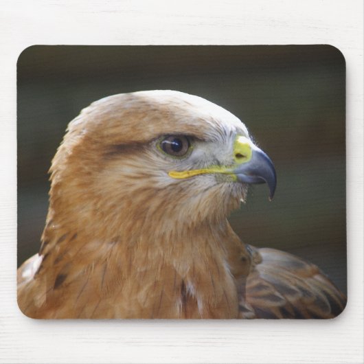 Bussard Mousepad (Vorne)