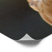 Bussard Poster (Ecke)