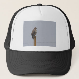 Bussard Truckerkappe