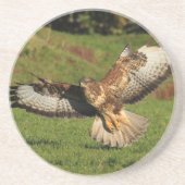 Bussard-Untersetzer Untersetzer (Vorne)