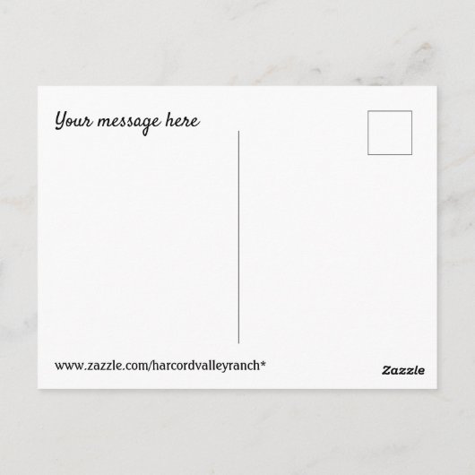 Bussool Postkarte (Rückseite)