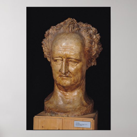 Bust of Johann Wolfgang von Goethe , 1831 Poster (Vorne)