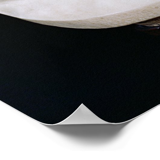 Bust of Voltaire  without his wig, 1778 Poster (Ecke)