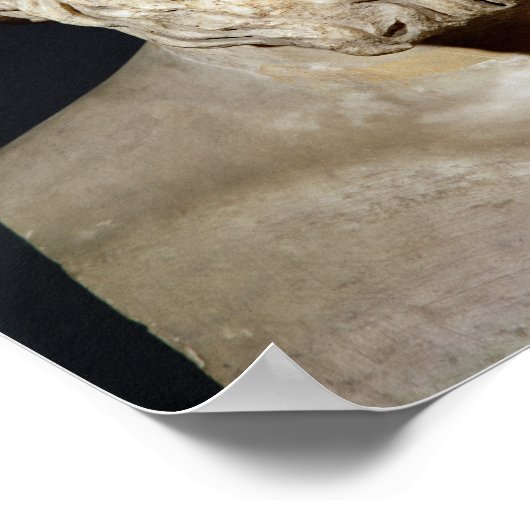 Büste aus Antisthenen Poster (Ecke)