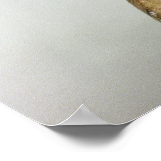 Büste der Königin Nefertiti, seitliche Sicht vom S Poster (Ecke)