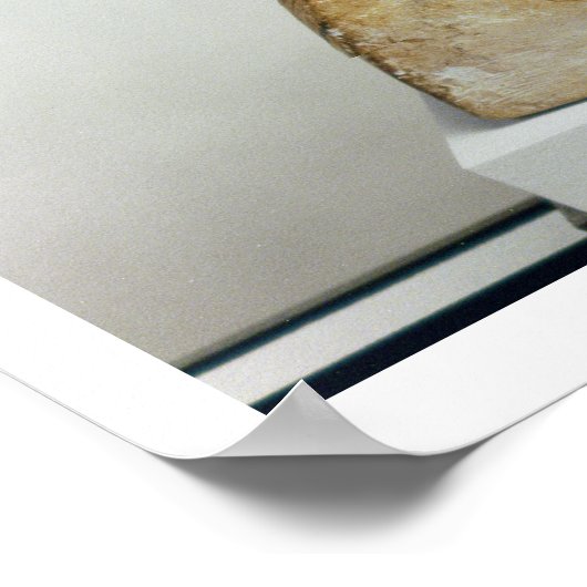 Büste der Königin Nefertiti, seitliche Sicht vom S Poster (Ecke)