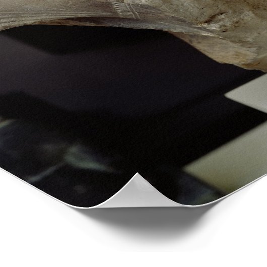 Büste der Königlichen Schrift, Meniou, Neues König Poster (Ecke)