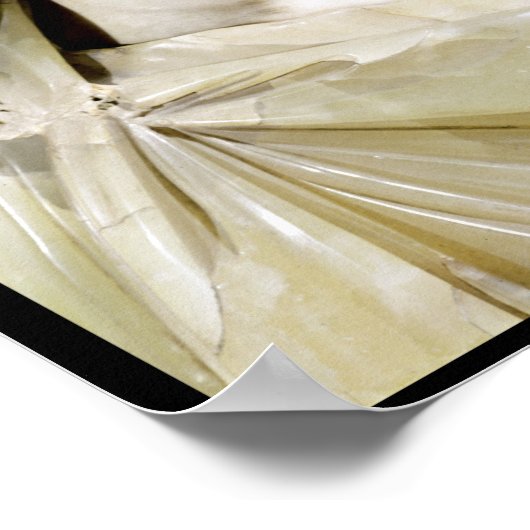 Büste des Kaisers Septimus Severus Poster (Ecke)