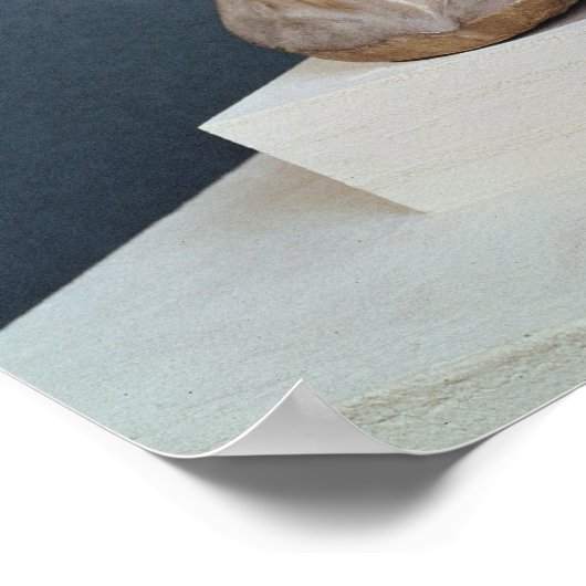 Büste Julius Cäsars Poster (Ecke)