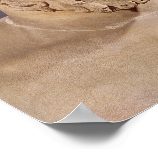 Büste von Aeschylus Poster (Ecke)