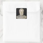 Büste von Herkules Quadratischer Aufkleber (Tasche)