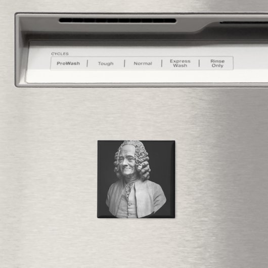 Büste von Voltaire Magnet (In Situ (Geschirrspüler))