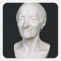 Büste von Voltaire ohne seine Perücke, 1778