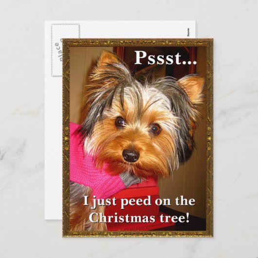 Busted York Feiertagspostkarte (Vorne/Hinten)