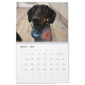 Buster der Dachshund Kalender (Feb 2027)