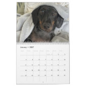 Buster der Dachshund Kalender (Jan 2027)