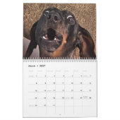 Buster der Dachshund Kalender (Mär 2027)