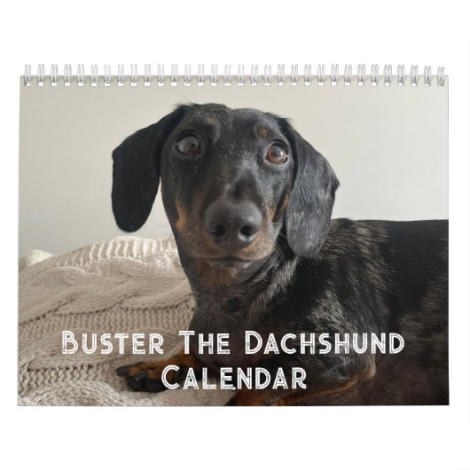 Buster der Dachshund Kalender (Titelbild)