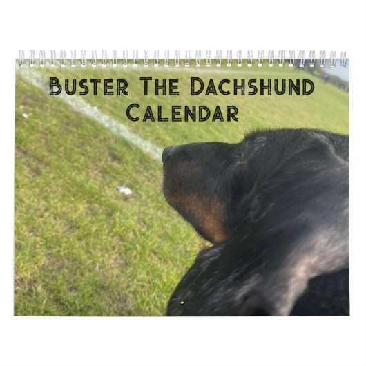 Buster der Dackel Kalender (Titelbild)