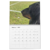 Buster der Dackel Kalender (Feb 2027)