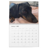 Buster der Dackel Kalender (Jan 2027)