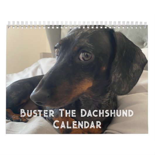 Buster der Dackel Kalender (Titelbild)
