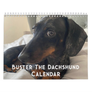 Buster der Dackel Kalender