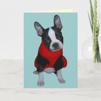 Buster Karte