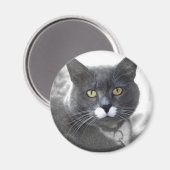 BUSTER MAGNET (Vorderseite/Rückseite)