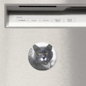 BUSTER MAGNET (In Situ (Geschirrspüler))