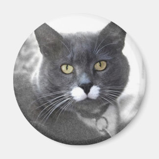 BUSTER MAGNET