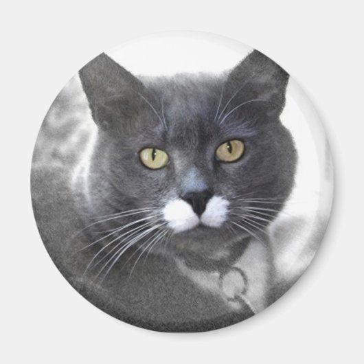BUSTER MAGNET (Vorne)