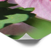 Busy Be Collection Pollen in a Hibiscus  Poster (Ecke)