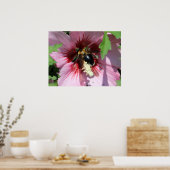 Busy Be Collection Pollen in a Hibiscus  Poster (Küche)
