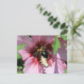 Busy Be Collection Pollen in a Hibiscus Postkarte (Stehend Vorderseite)