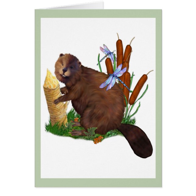 Busy Beaver (Vorne)