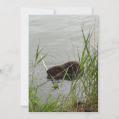 Busy Beaver Feiertagskarte (Vorderseite)