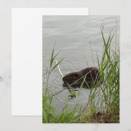 Busy Beaver Feiertagskarte