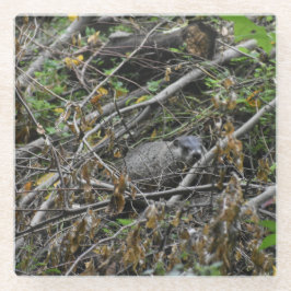 Busy Beaver Glasuntersetzer