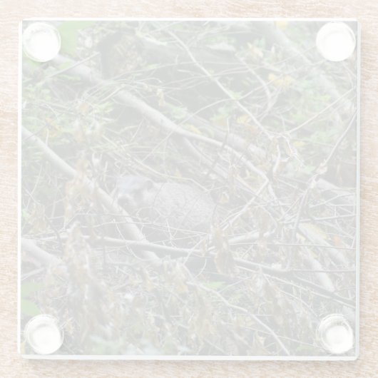 Busy Beaver Glasuntersetzer (Rückseite)